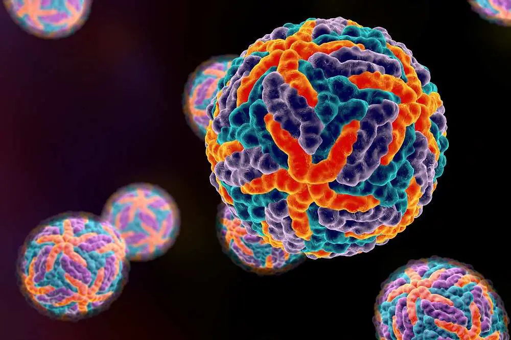 10 Deadly And Strong Viruses Of World