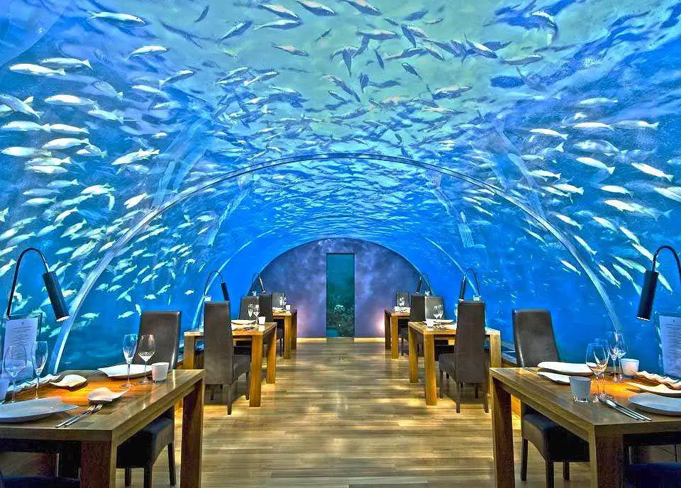 ITHACA UNDERSEA RESTAURANT, MALDIVES Restaurant
