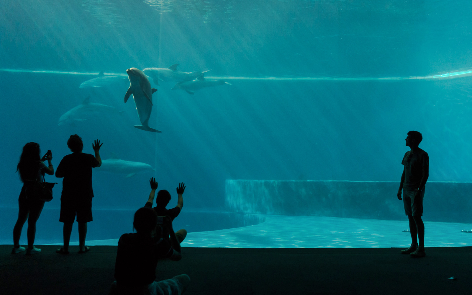 Aquarium of Genoa, located in the city of Genoa, Italy Best Aquariums In The World