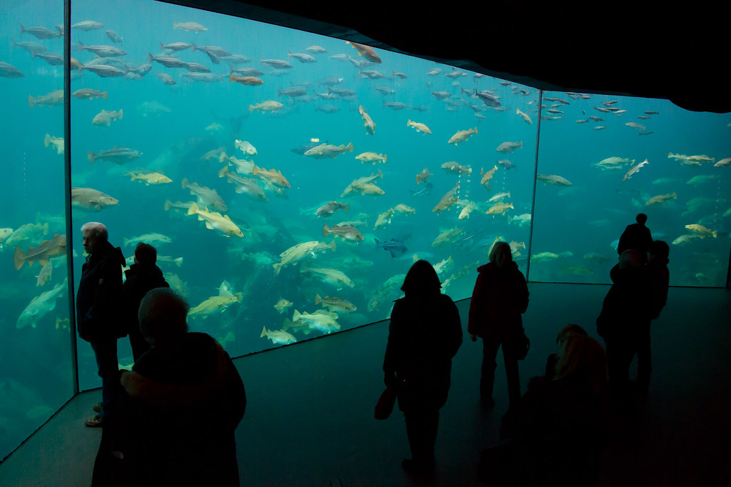 Atlantic Sea Park Located in Aalesund, Norway Best Aquariums In The World