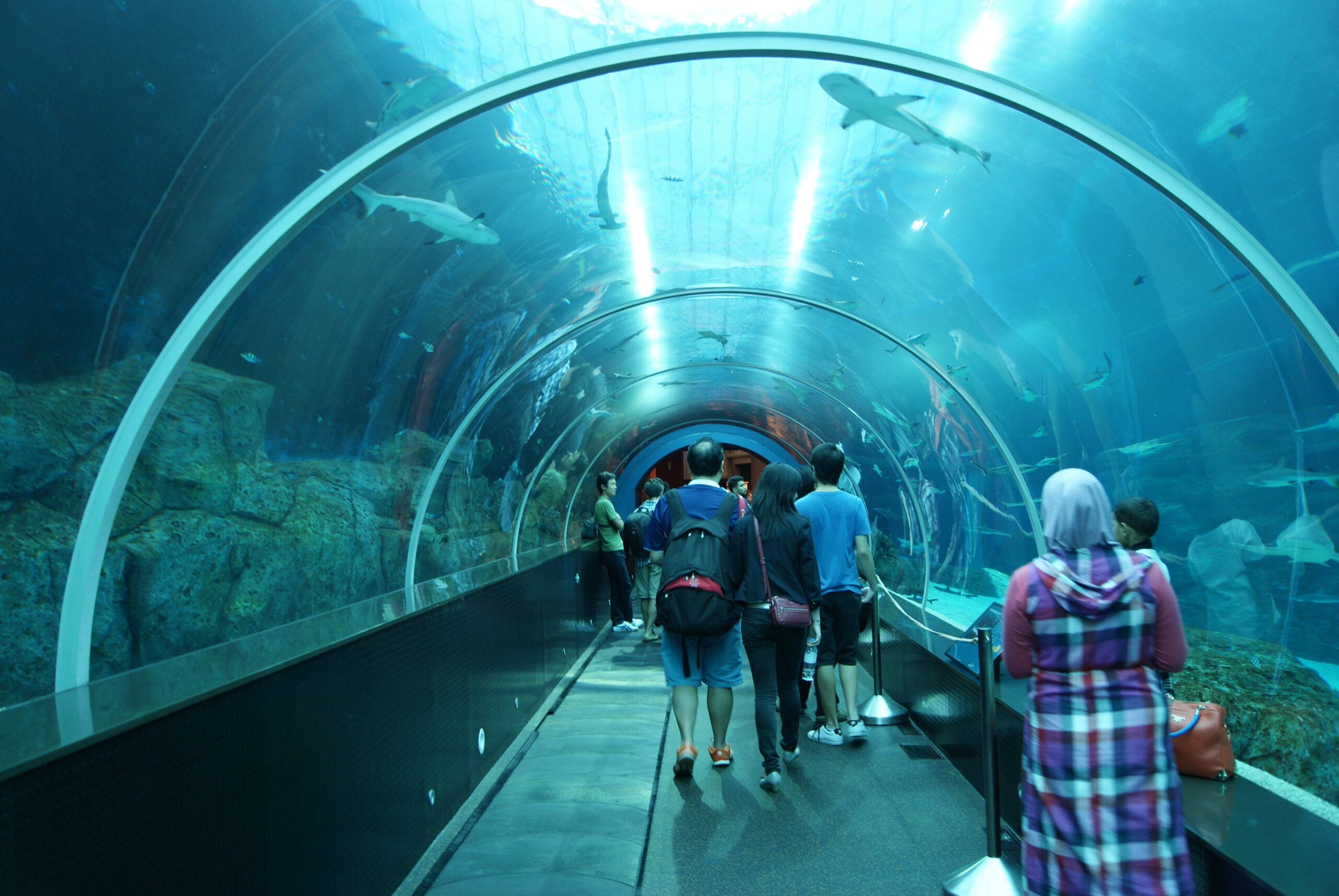 Marine Life Park Located in Singapore