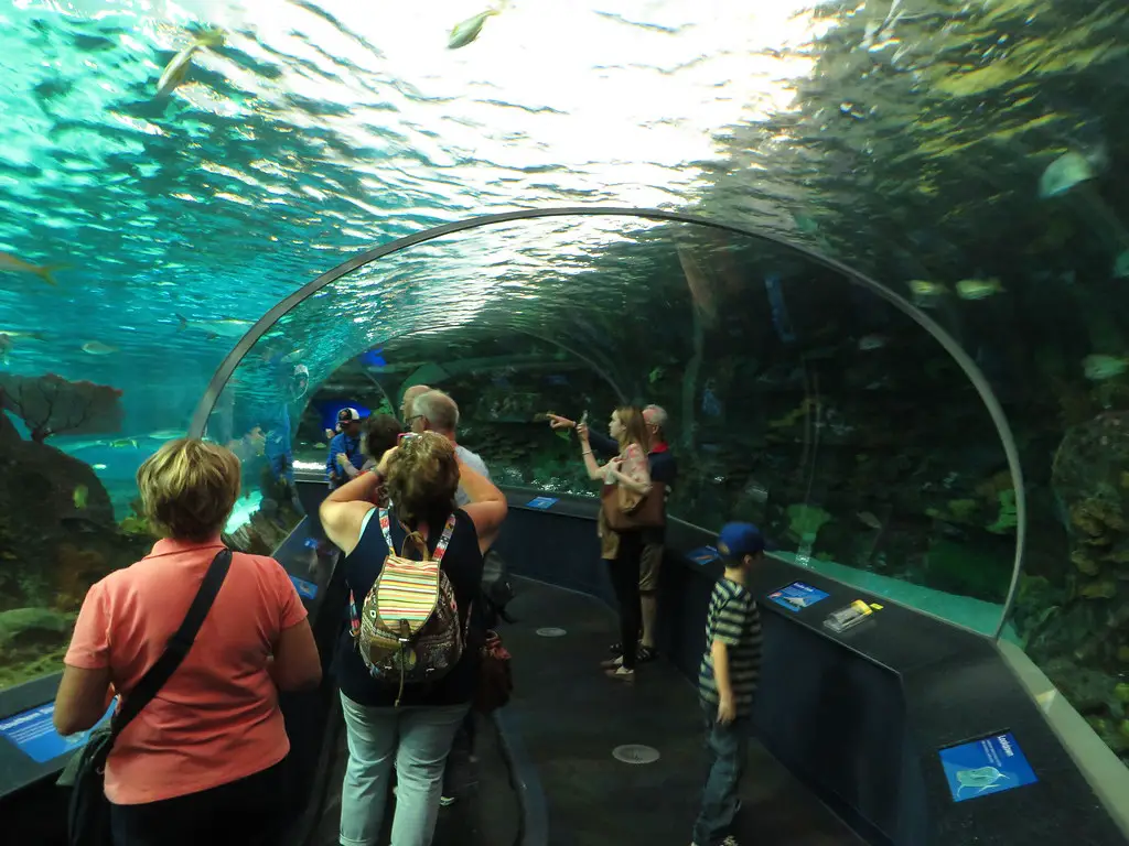 Ripley's Aquarium of Canada, located in Toronto, Ontario, Canada Best Aquariums In The World
