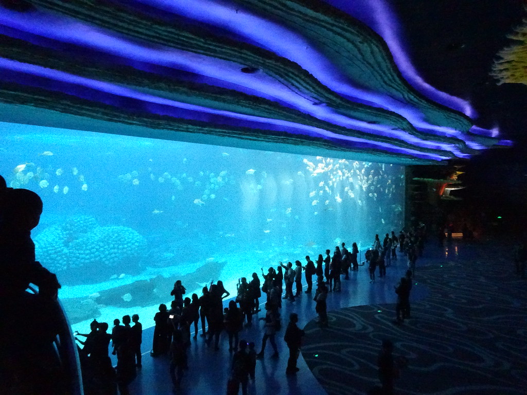 The Chimelong Ocean Kingdom, located in Zhuhai, China Best Aquariums In The World