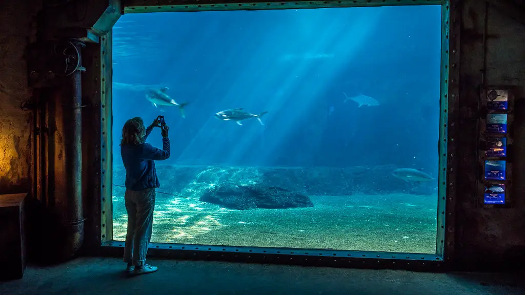 uShaka Marine World, located near Durban, South Africa. Best Aquariums In The World