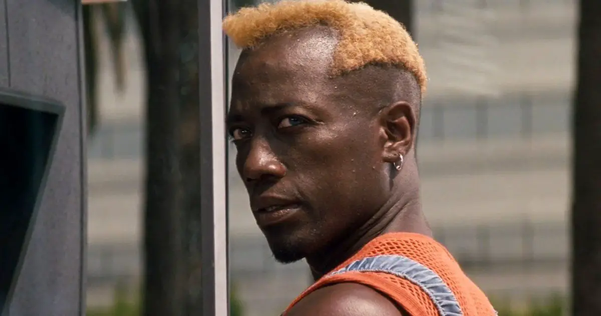 Wesley Snipes Martial Artists In The World