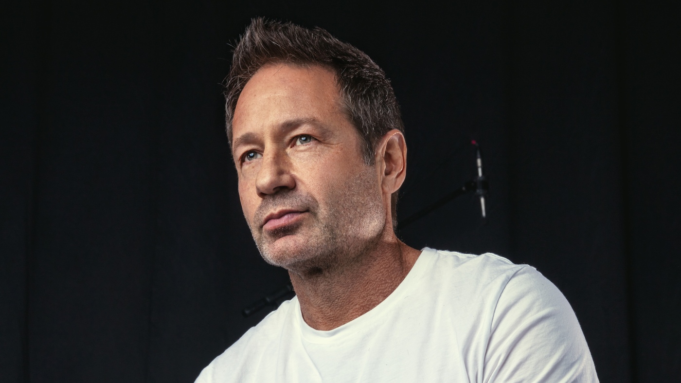 David Duchovny most successful actors in the 90s