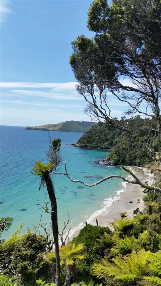   Stewart Island/Rakiura New Zealand