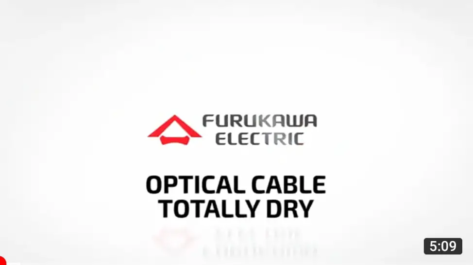 Furukawa Electric Company Japan