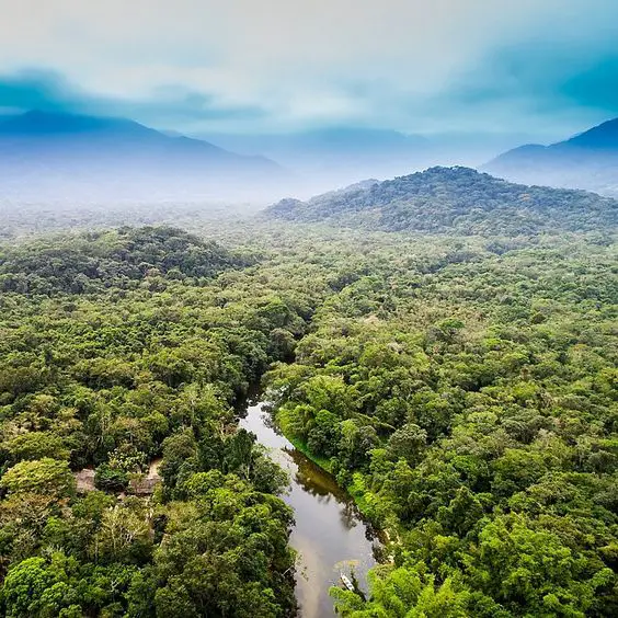COLOMBIA (FORESTED AREA: 607,280 SQUARE KILOMETERS)