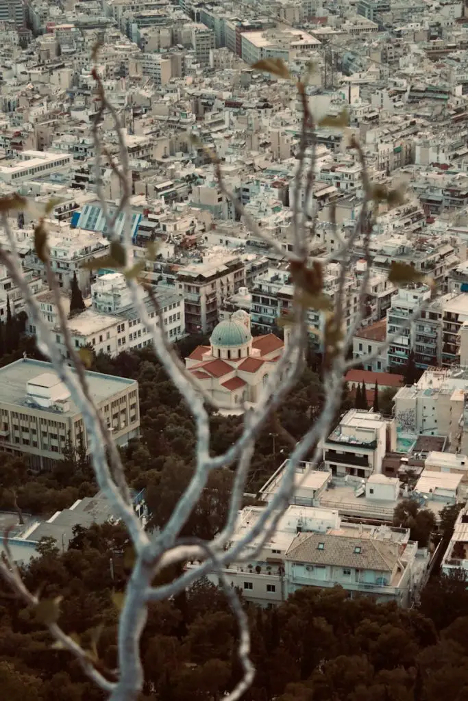 Cityscape with a church framed by tree branches.